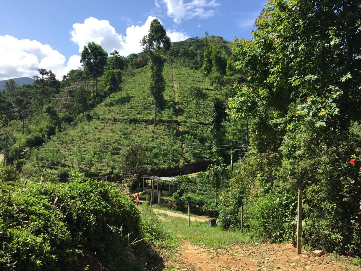 Rohana Estate Lodging & Camping Kandy Ngoại thất bức ảnh