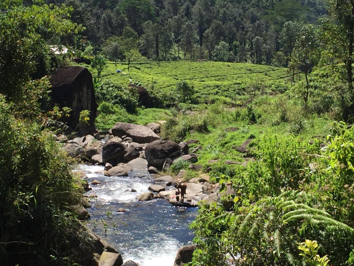 Rohana Estate Lodging & Camping Kandy Ngoại thất bức ảnh
