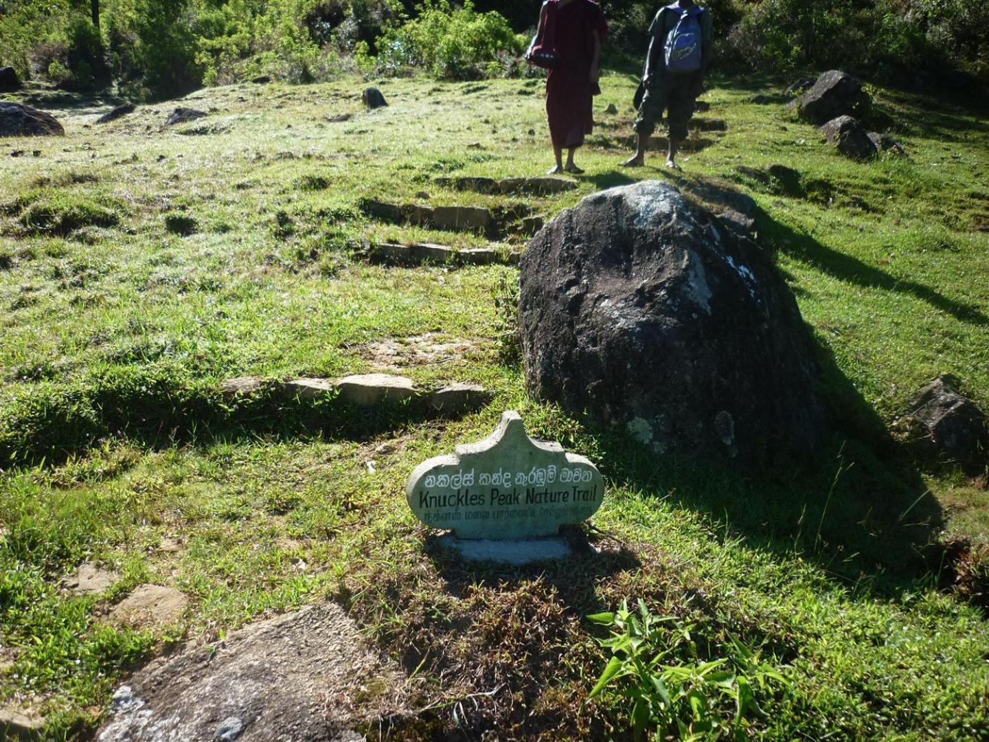 Rohana Estate Lodging & Camping Kandy Ngoại thất bức ảnh