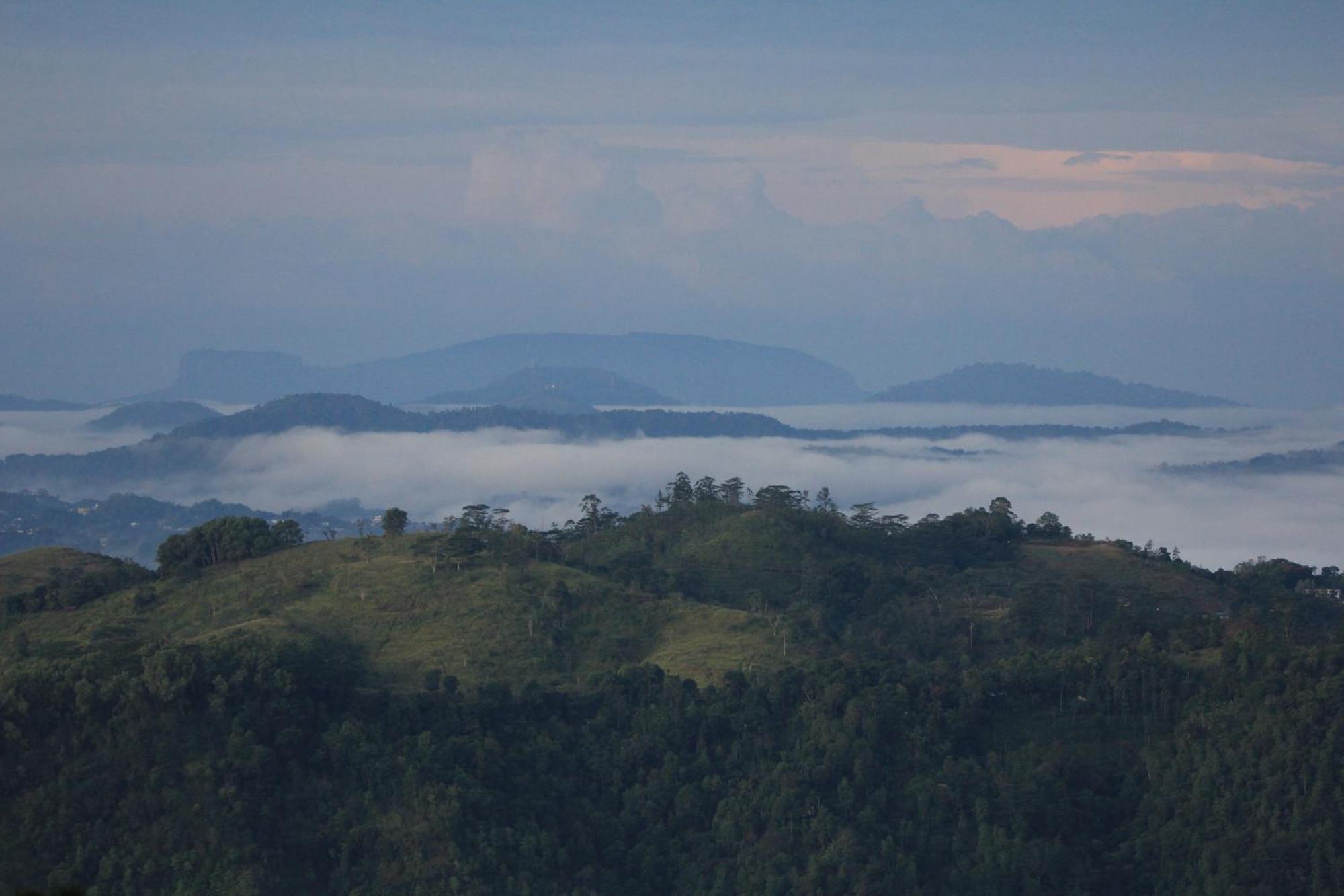 Rohana Estate Lodging & Camping Kandy Ngoại thất bức ảnh