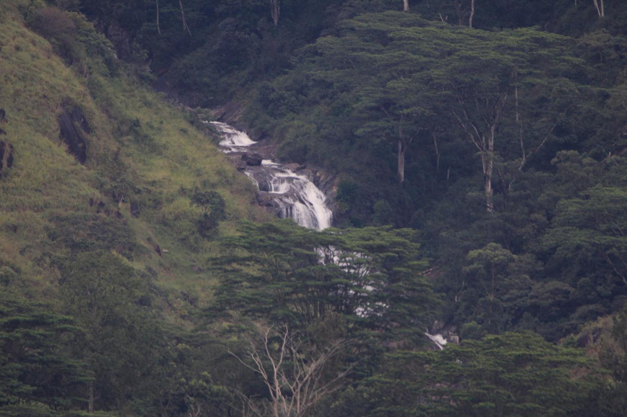 Rohana Estate Lodging & Camping Kandy Ngoại thất bức ảnh