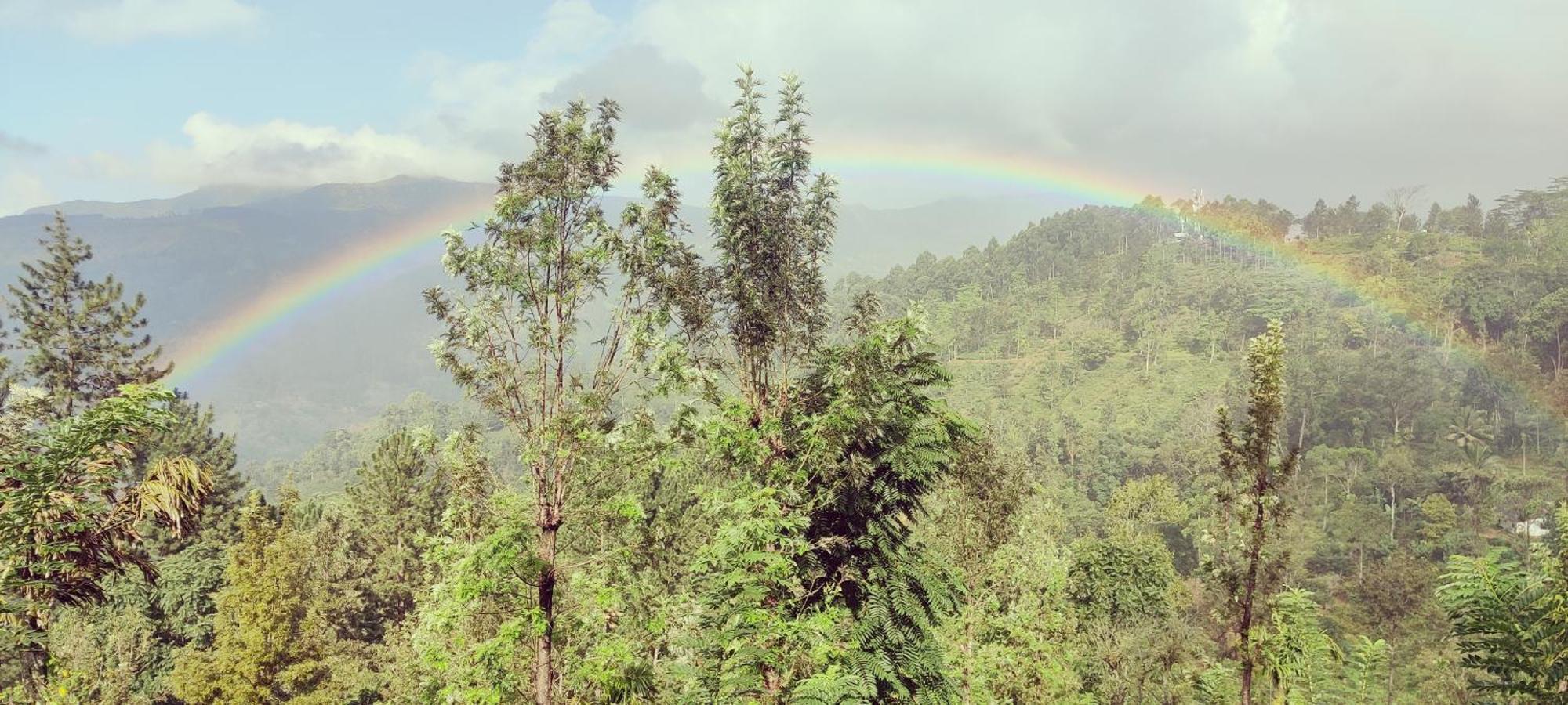 Rohana Estate Lodging & Camping Kandy Ngoại thất bức ảnh