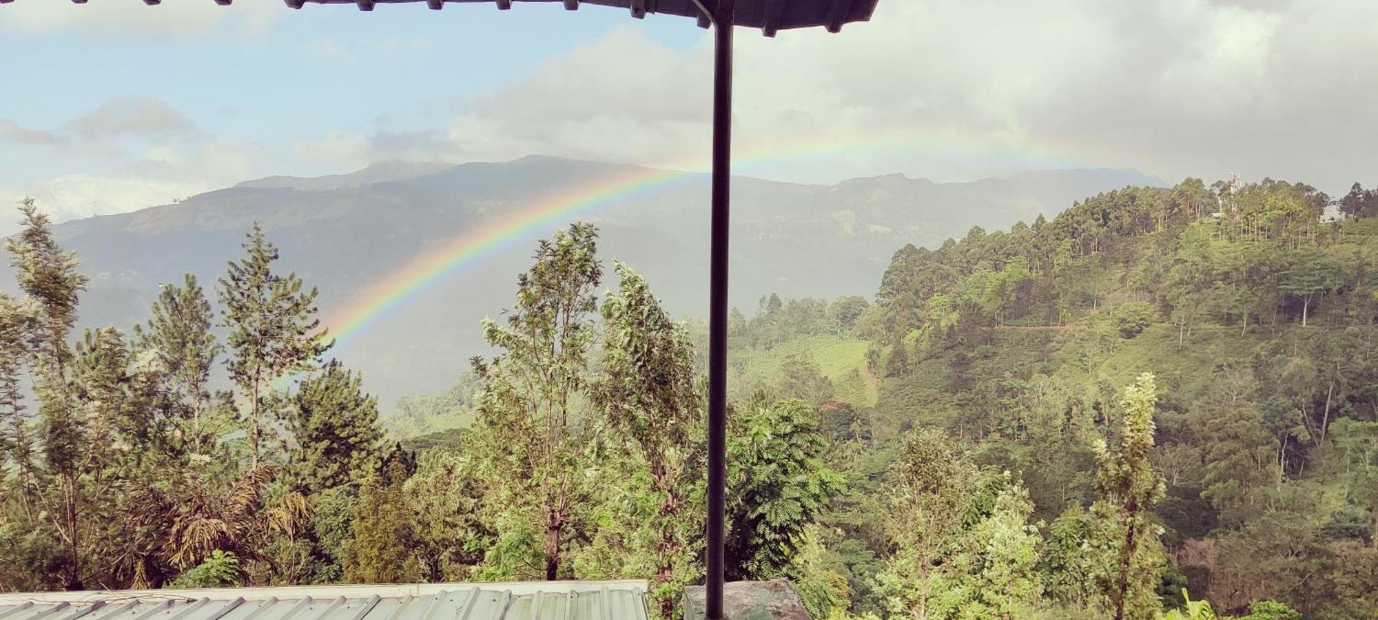 Rohana Estate Lodging & Camping Kandy Ngoại thất bức ảnh